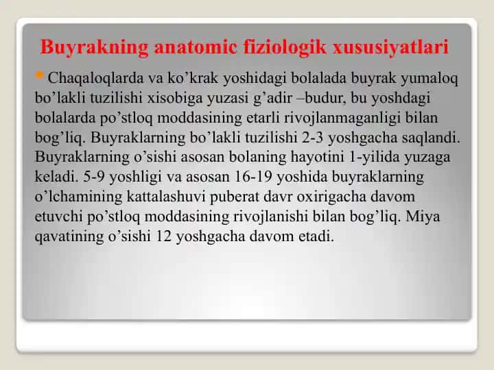 Buyrakning anatomic-fiziologik xususiyatlari