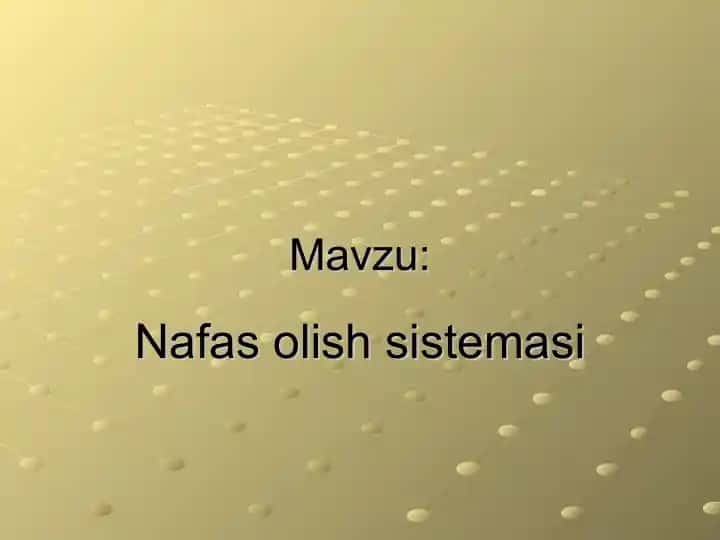 Nafas olish sistemasi