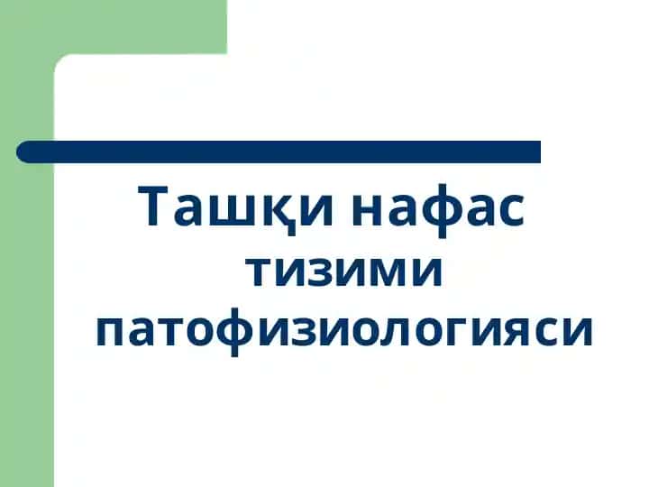 Ташқи нафас тизими патофизиологияси