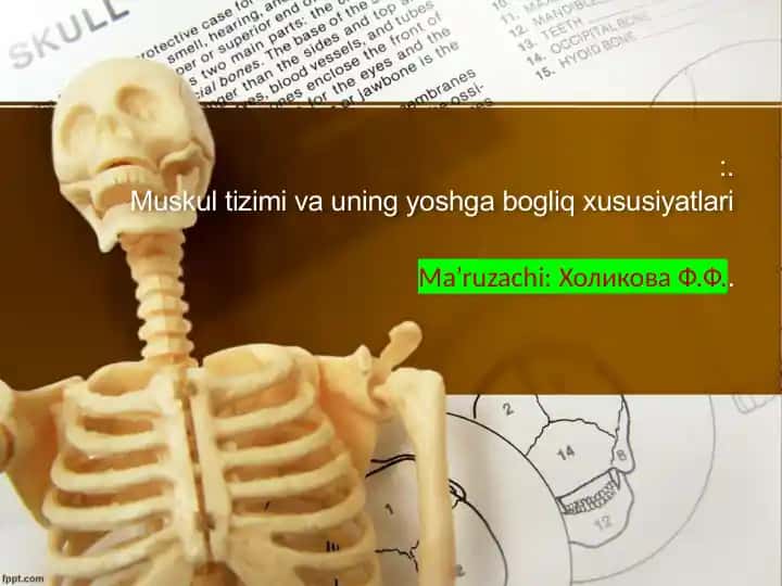 Muskultizim va uning yoshga bog'liq xususiyatlari