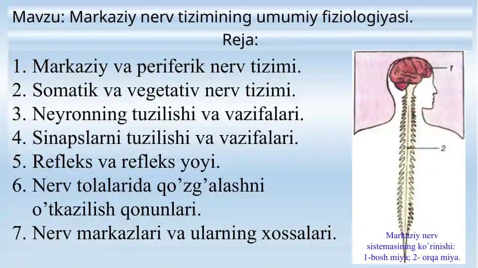 Markazi nervtizimining umumiy fiziologiyasi