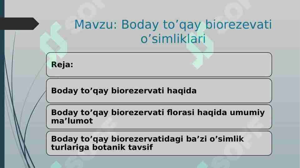Boday to’qay biorezevati o’simliklari