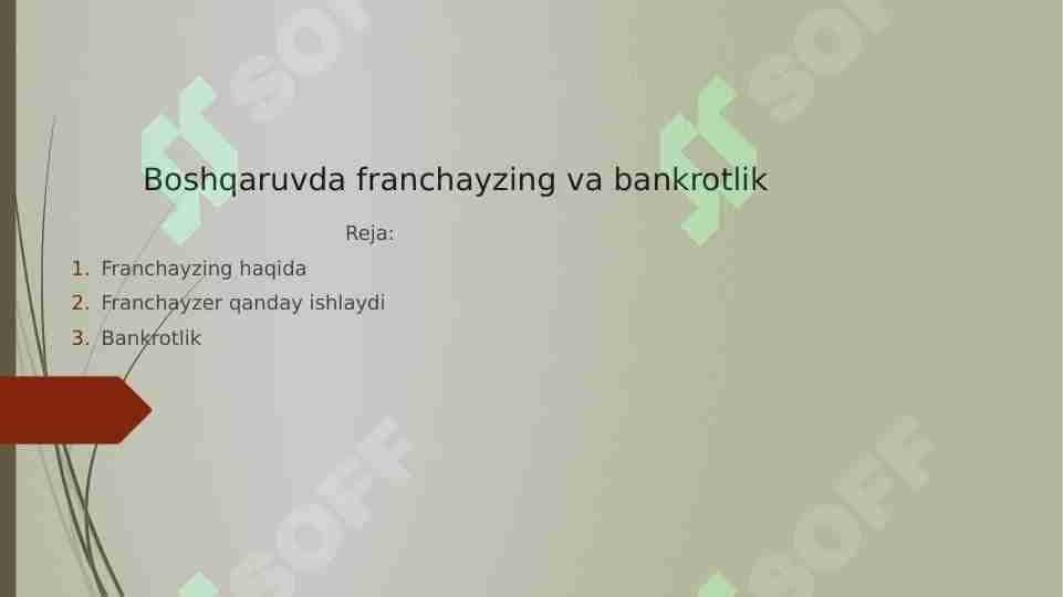 Boshqaruvda franchayzing va bankrotlik