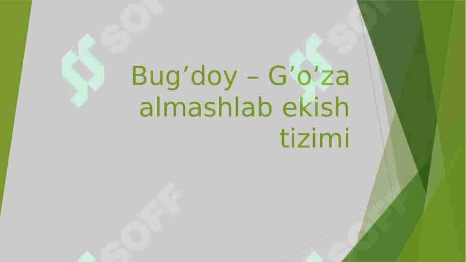Bug'doy va G'o'zani almashlab ekish tizimi