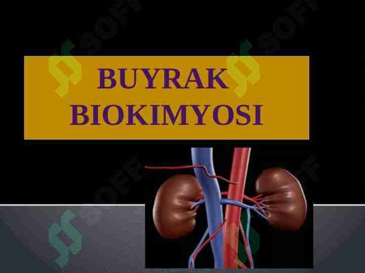 Buyrak biokimyosi