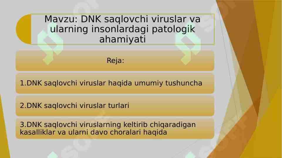 DNK saqlovchi viruslar va ularning insonlardagi patologik ahamiyati