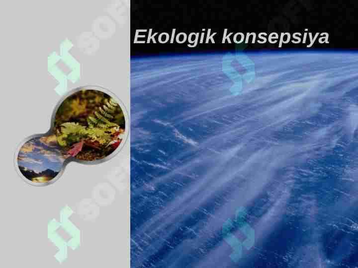Ekologik konsepsiya