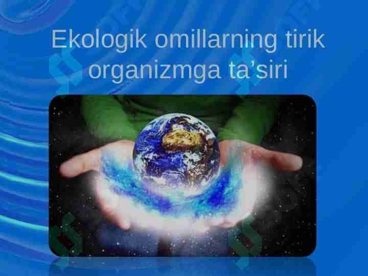 Ekologik omillarning tirik organizmga ta’siri