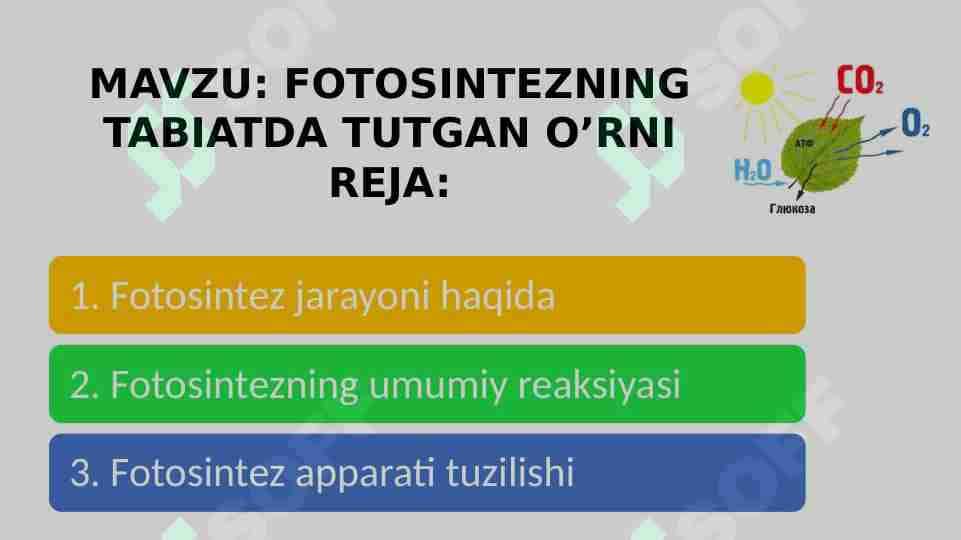 FOTOSINTEZNING TABIATDA TUTGAN O’RNI