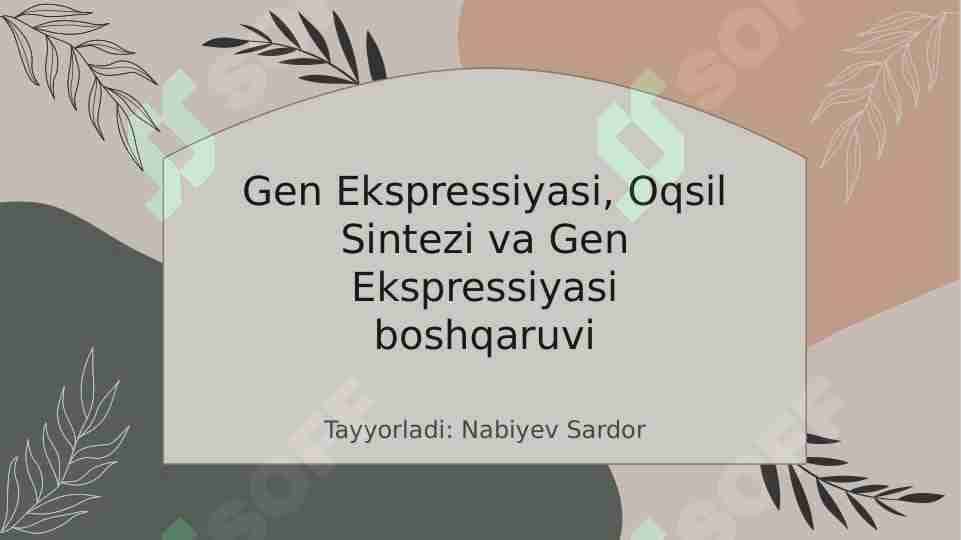 Gen Ekspressiyasi, Oqsil Sintezi va Gen Ekspressiyasi boshqaruvi