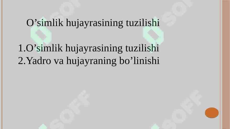 O’simlik hujayrasining tuzilishi