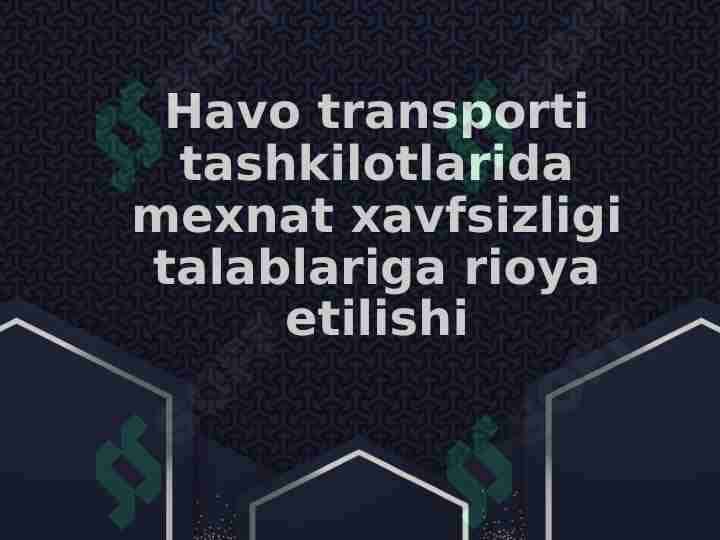 Havo transporti tashkilotlarida mexnat xavfsizligi talablariga rioya etilishi