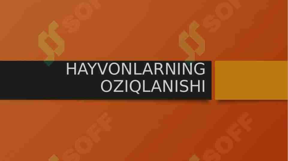 Hayvonlarning oziqlanishi