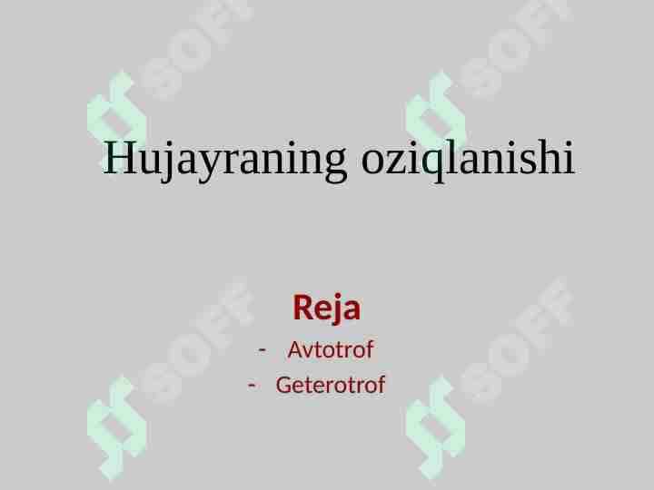 Hujayralarning oziqlanishi
