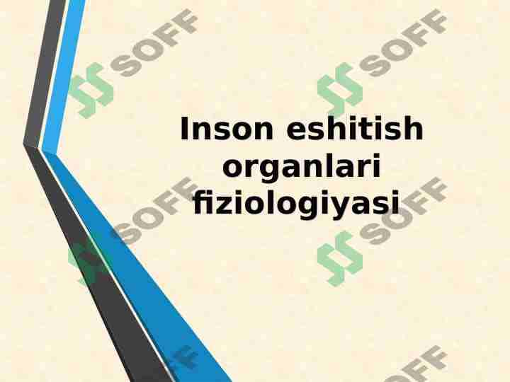 Inson eshitish organlari fiziologiyasi