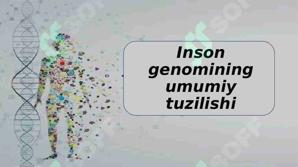 Inson genomining umumiy tuzilishi