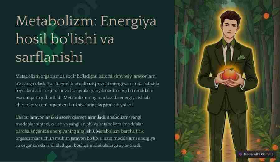 Metabolizm jarayonida energiya hosil boʻlishi va sarflanishi