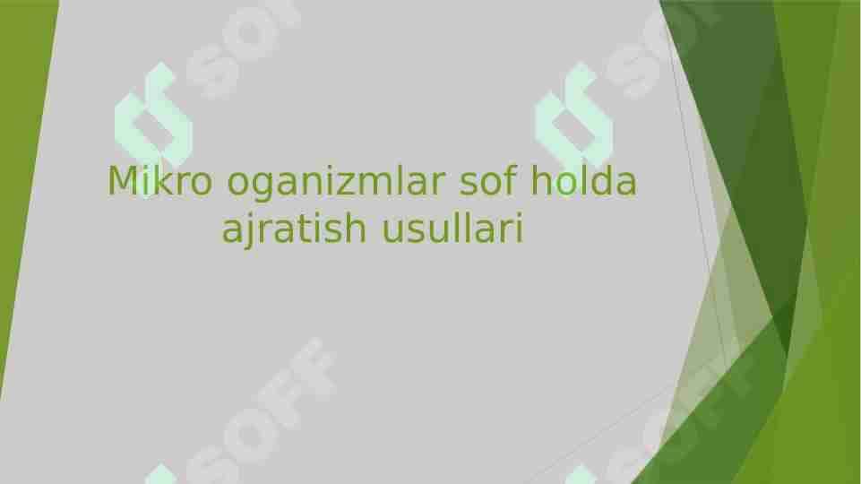 Mikro oganizmlar sof holda ajratish usullari