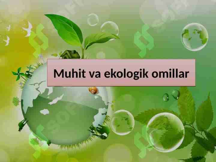 Muhit va ekologik omillar