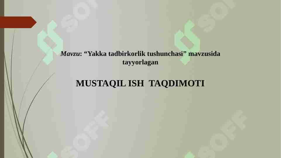 Yakka tadbirkorlik tushunchasi