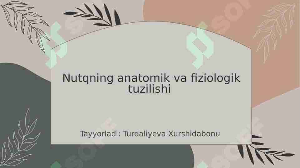 Nutqning anatomik va fiziologik tuzilishi