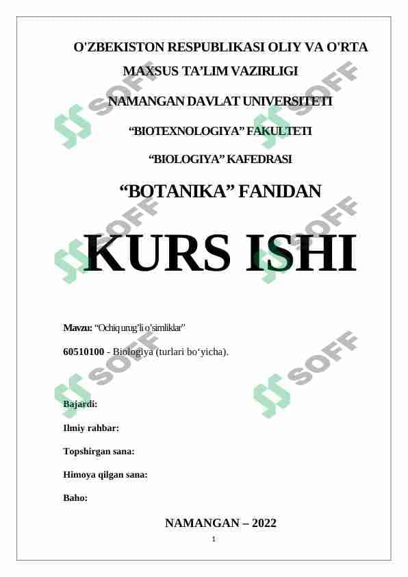 Ochiq urug’li o’simliklar
