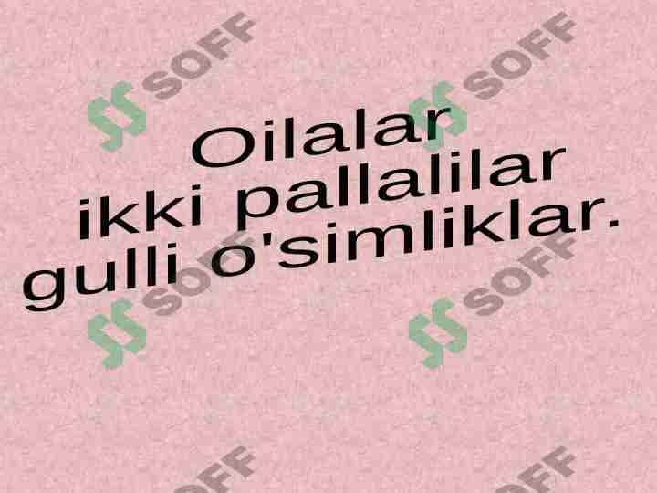 Oilalar ikki pallalilar gulli o'simliklar