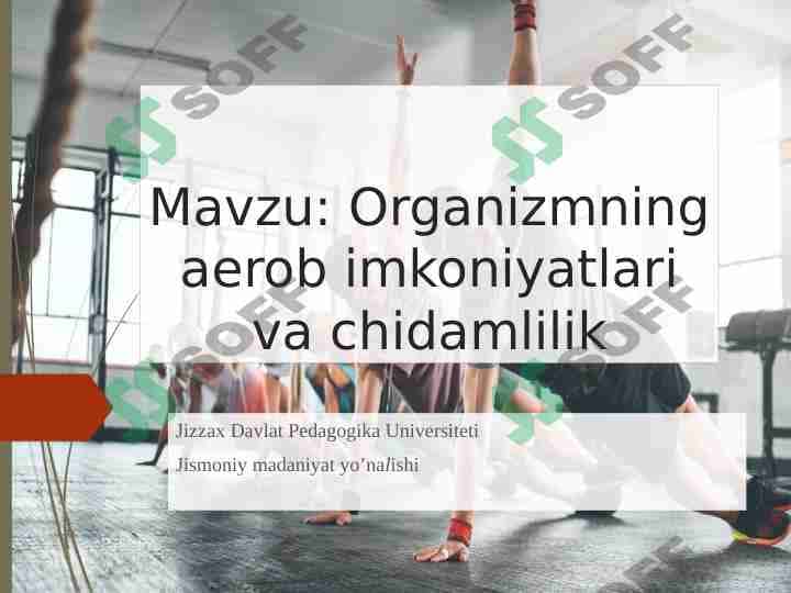 Organizmning aerob imkoniyatlari va chidamlilik
