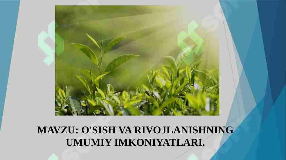 O'sish va rivojlanishning umumiy imkoniyatlari.