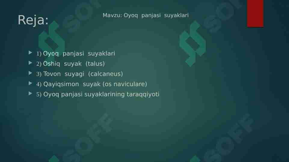 Oyoq panjasi suyaklari