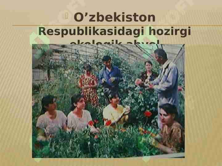 O’zbekiston Respublikasidagi hozirgi ekologik ahvol