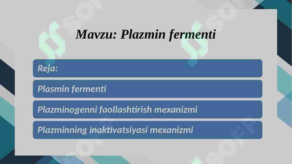 Plazmin fermenti