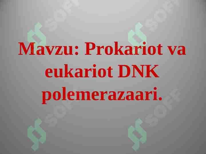 Prokariot va eukariot DNK polemerazaari.
