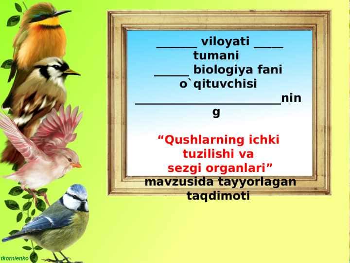 Qushlarning ichki tuzilishi va sezgi organlari