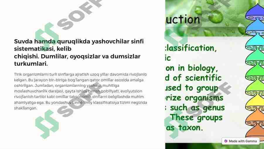 Suvda hamda quruqlikda yashovchilar sinfi sistematikasi, kelib chiqishi. Dumlilar, oyoqsizlar va dumsizlar turkumlari.