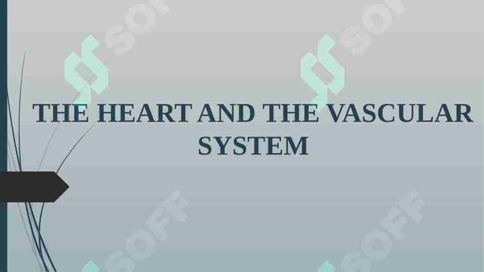 THE HEART AND THE VASCULAR SYSTEM