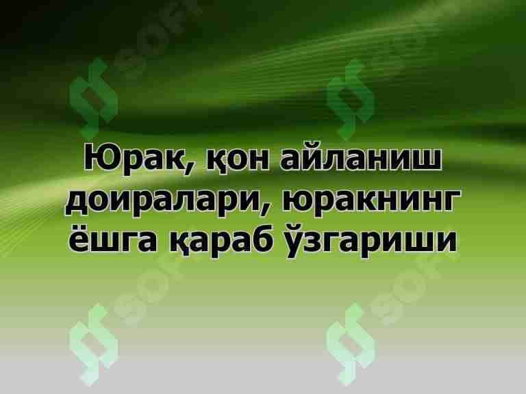 Yurak va qon aylanish doiralari