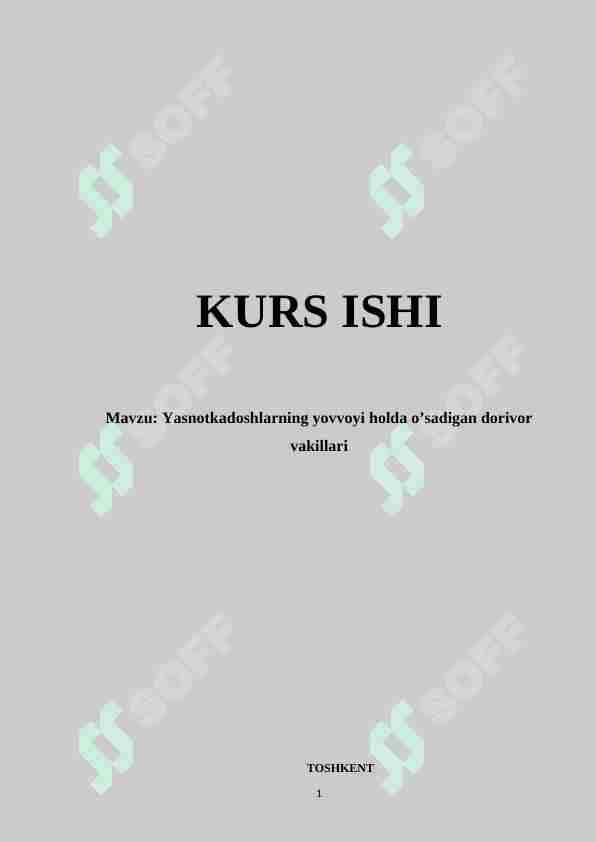 Yasnotkadoshlarning yovvoyi holda o’sadigan dorivor vakillari