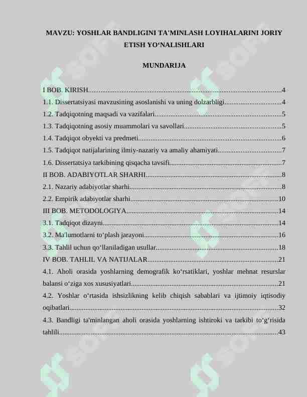 YOSHLAR BANDLIGINI TA'MINLASH LOYIHALARINI JORIY ETISH YO‘NALISHLARI