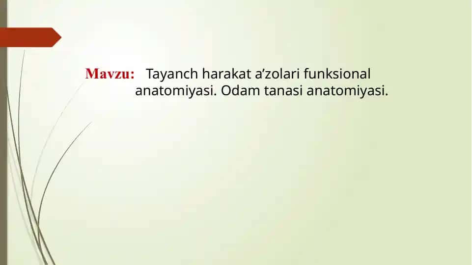 Tayanch harakatlar ifunksional anatomiyasi.Odam tanasianatomiyasi