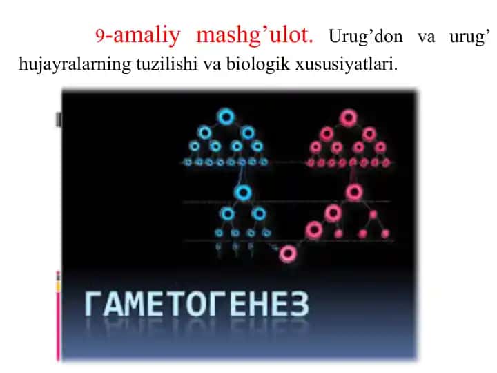 Jinsiy hujayralar tuzilishi va biologik xususiyatlari