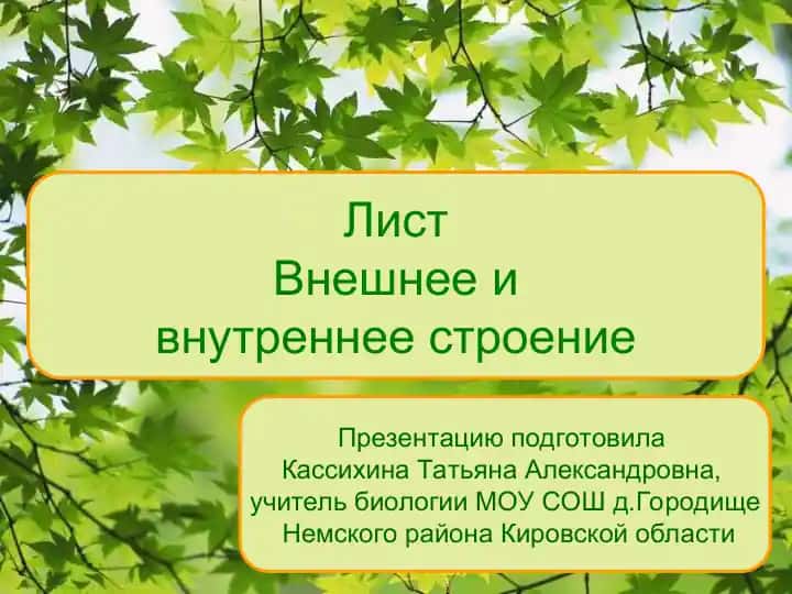 - Teglar (vergul bilan): Kассихина Татьяна Александровна, лист, боковая часть побега, вегетативный орган, органические вещества, листовая пластинка, жилки, черешок, прилистники, основание листа, строение листа