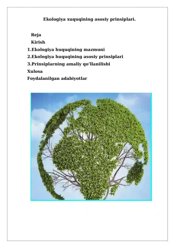 Ekologiya huquqining asosiy prinsiplari