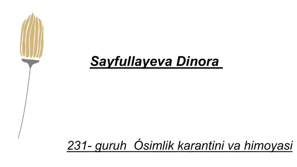 Qishloqxoʻjalik ekinturlari boʻyicha ma'lumotlar bazasini tuzish