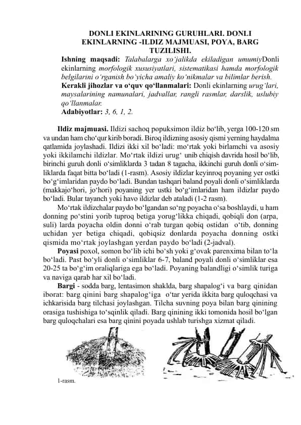 Donli ekinlarning guruhlari. Donli ekinlarning -ildiz majmuasi, poya, barg tuzilishi.