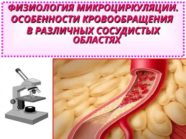 ФИЗИОЛОГИЯ МИКРОЦИРКУЛЯЦИИ