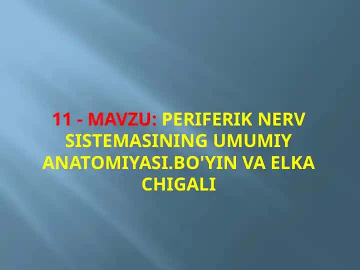 Periferik nerv sistemasining umumiy anatomiyasi