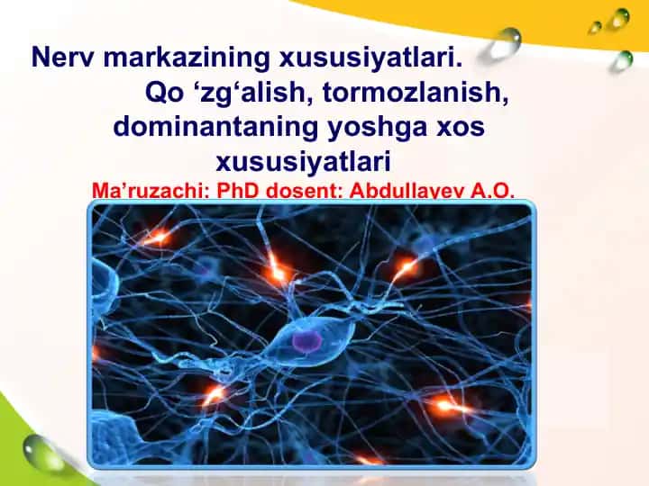 Nerv markazining xususiyatlari
