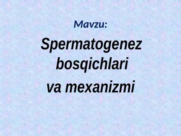 Spermatogenez bosqichlari va mexanizmi