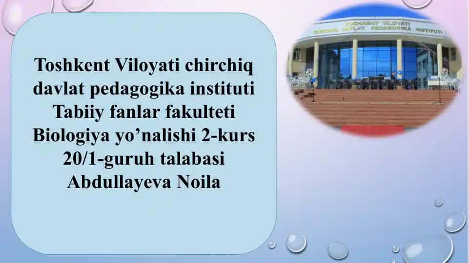 Mushuksimonlar haqida ma’lumotlar